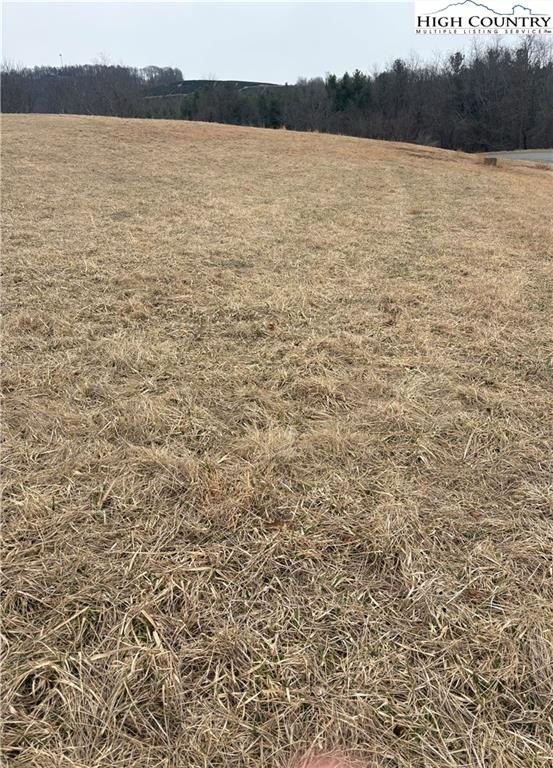 Residential Lot in Alleghany Manor