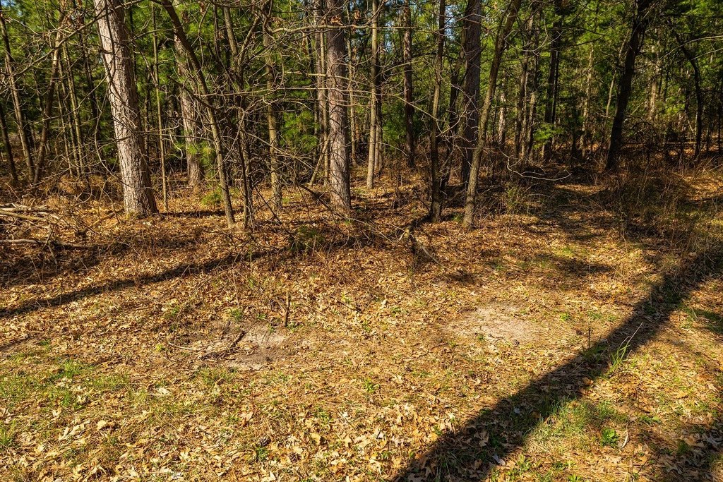 Picture 16