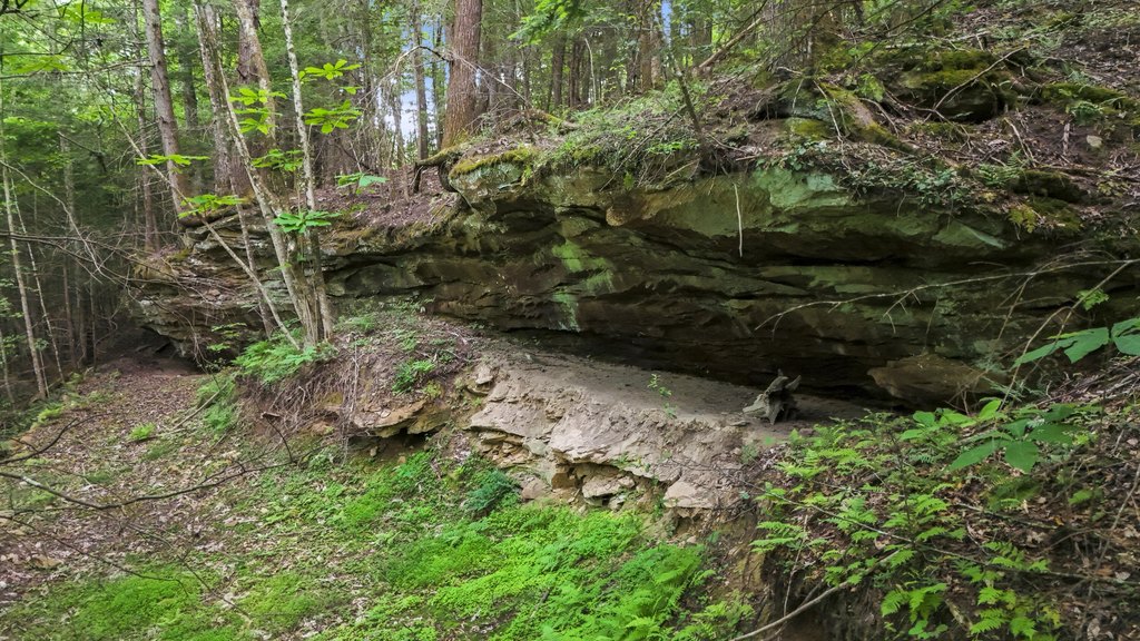 Picture 16