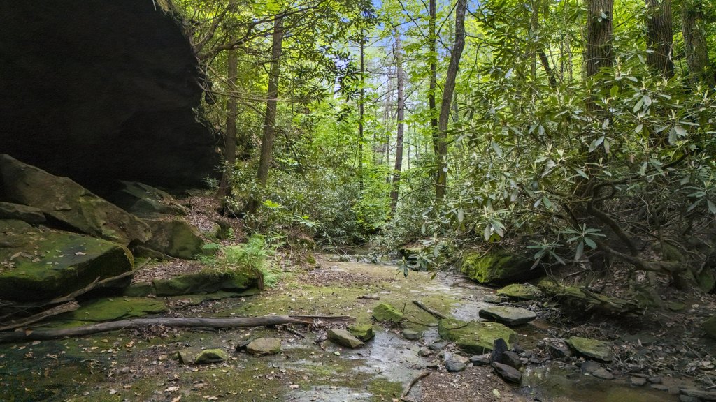 Picture 11