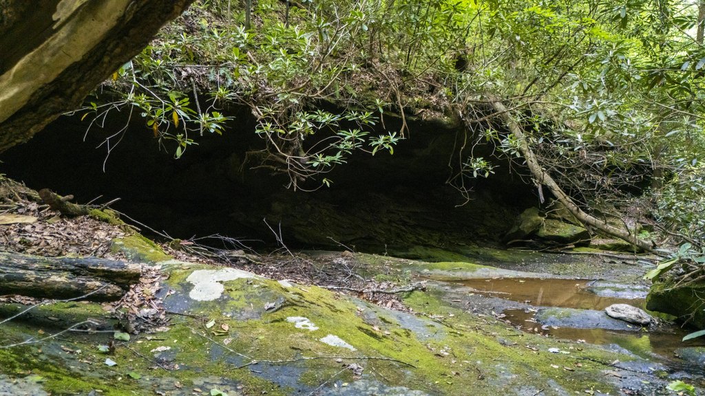 Picture 14