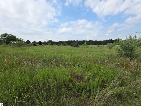 LAND - Mt Pleasant, MI
