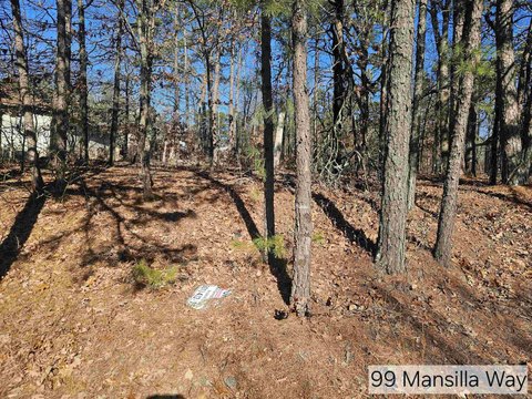 Hot Springs Village Subdivision Lot