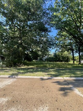 Residential Land in Flint, MI