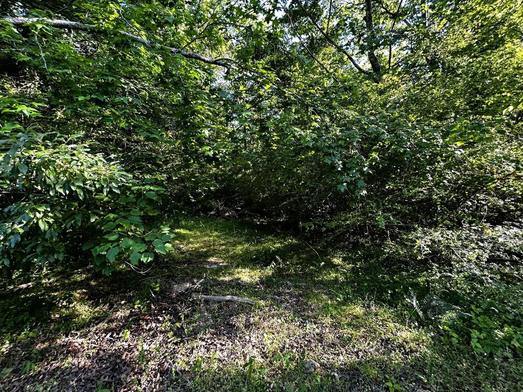 Picture 19