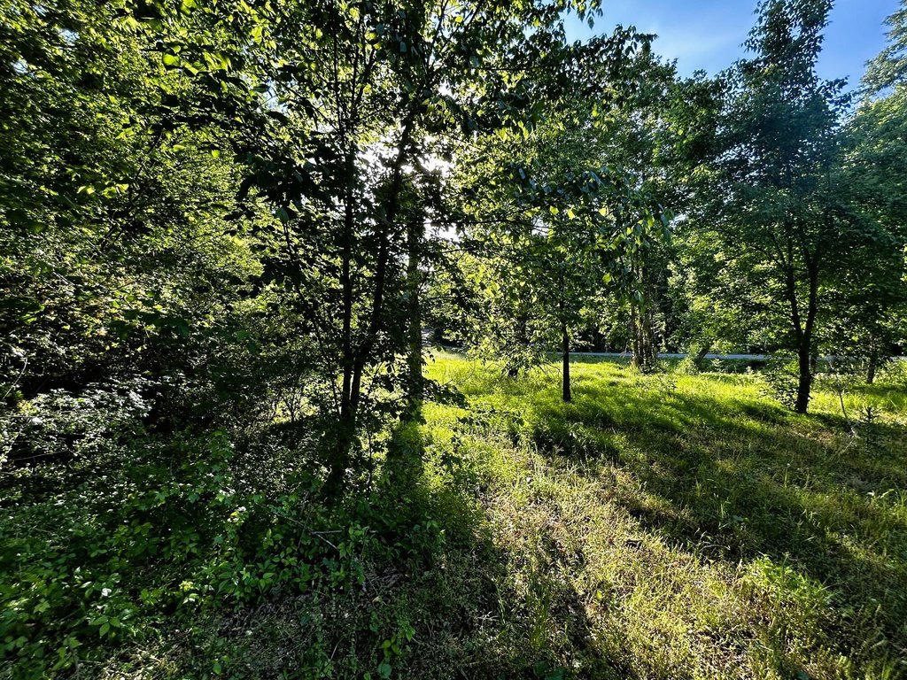 Picture 18