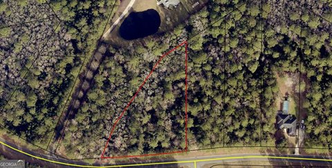 LAND - Woodbine, GA