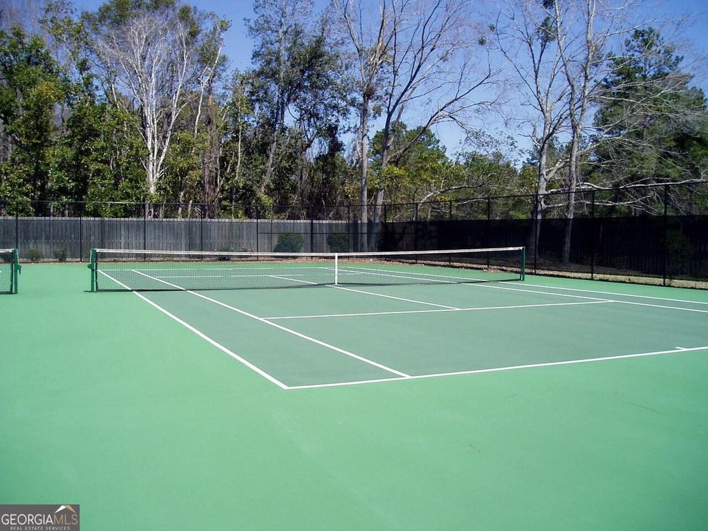 Picture 8