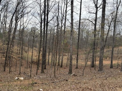 Industrial Land Development Parcel