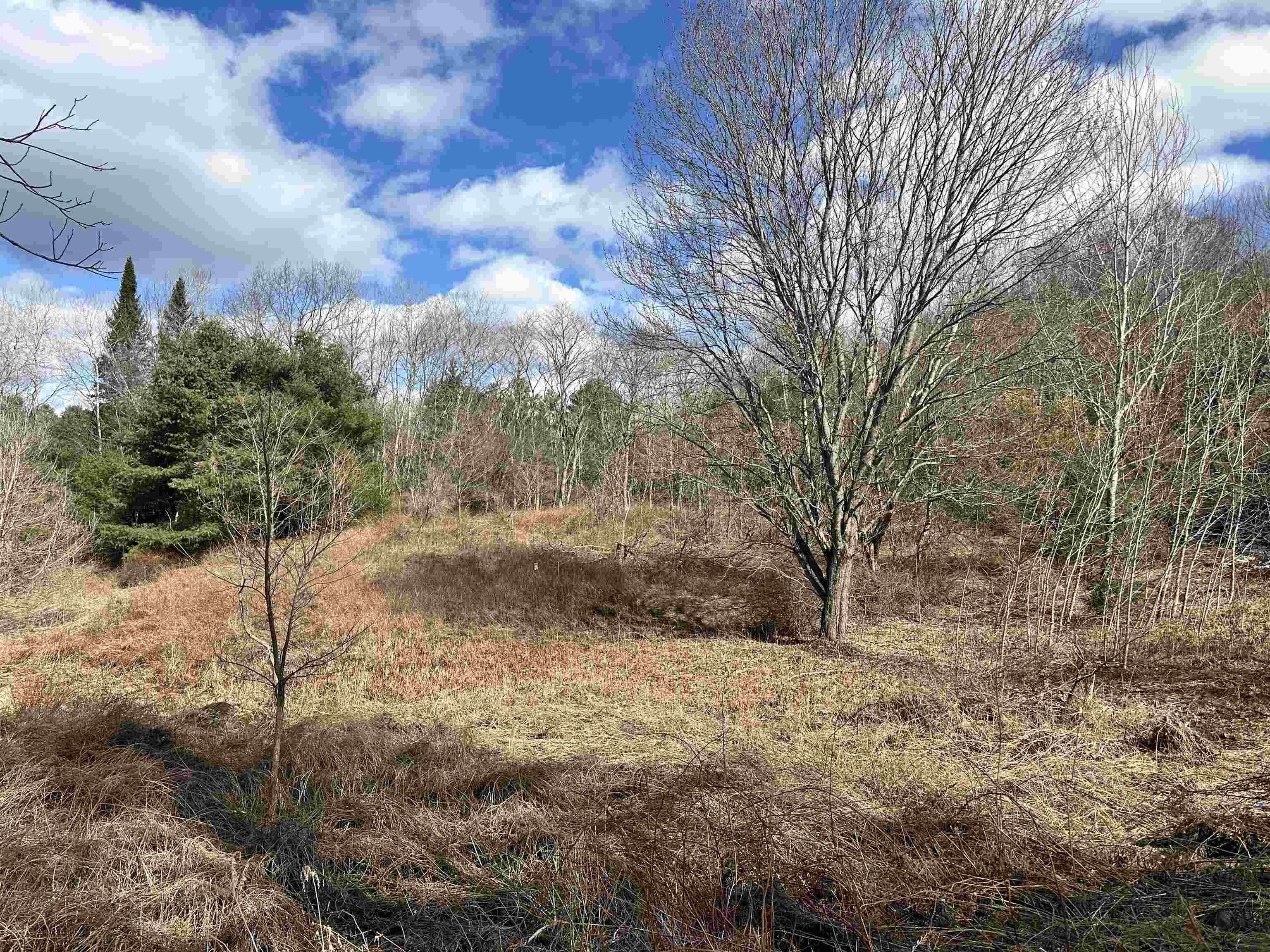 Land with Mountain Views