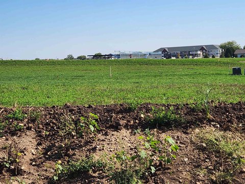 Residential Homesite Lot