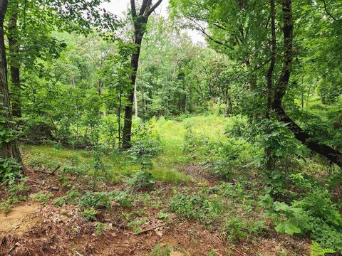 Residential Lot in Lindale ISD