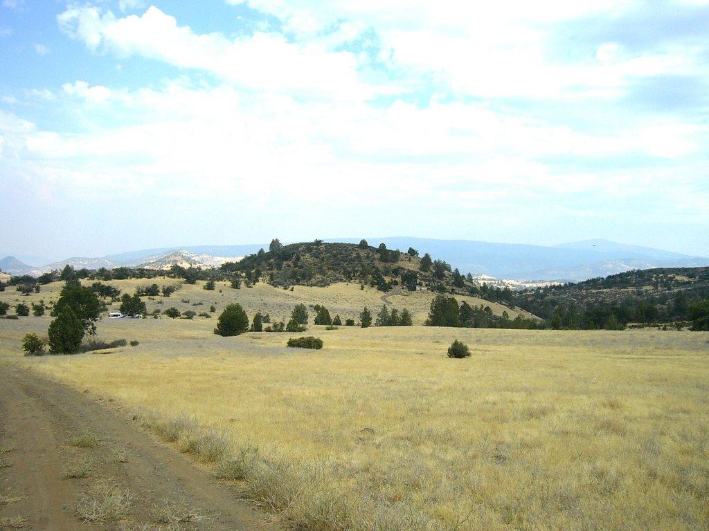 Picture 6