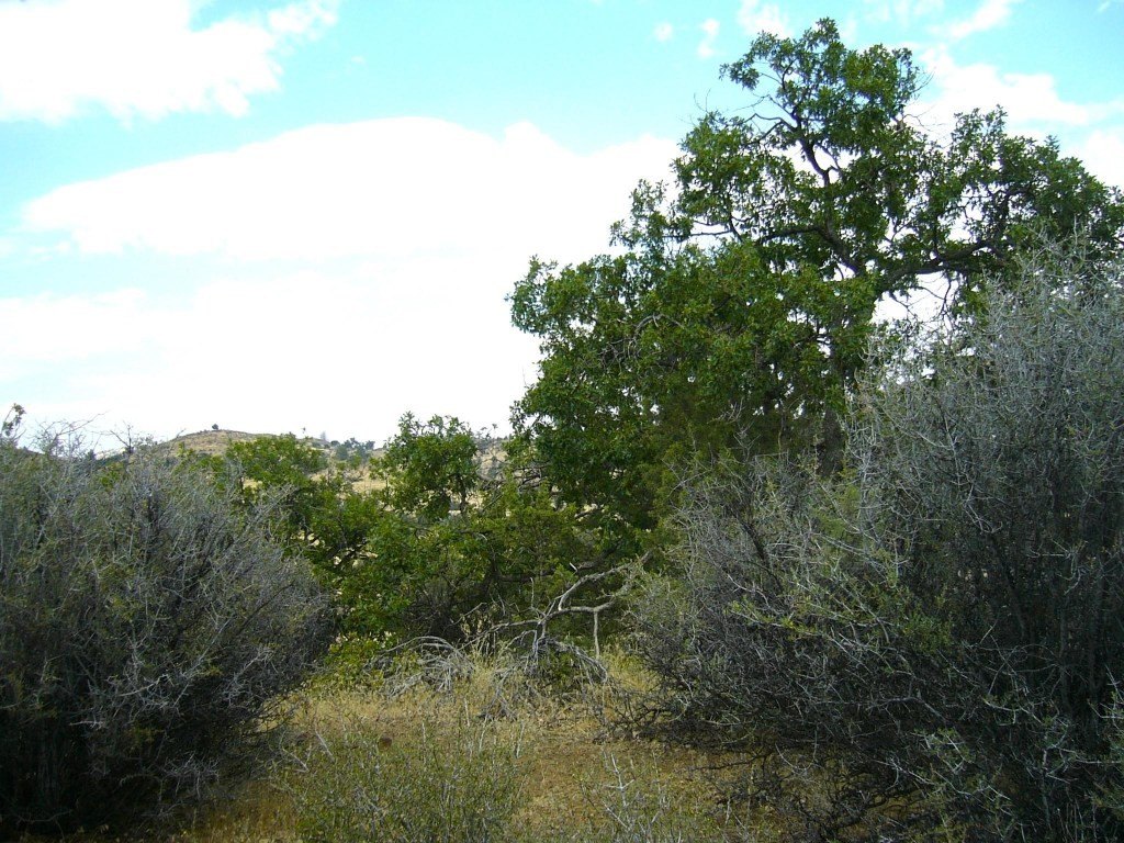 Picture 12
