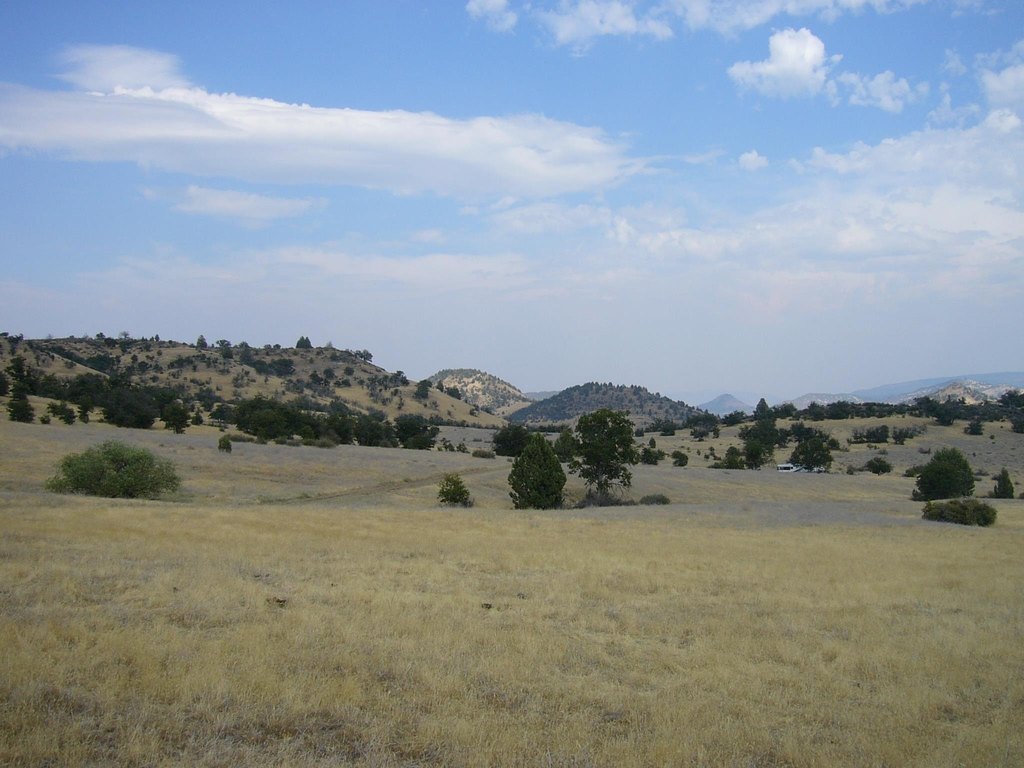 Picture 8