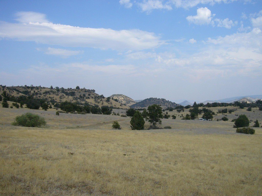 Picture 8