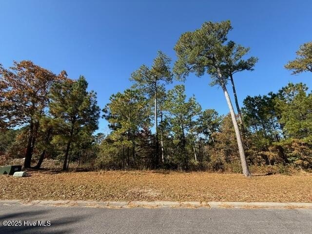 Residential Lot in Master-Planned Community