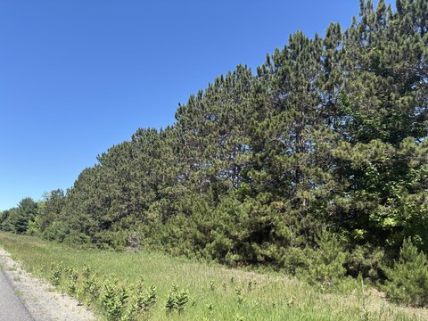 BEAR LAKE, MI