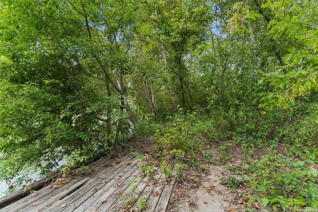 Picture 17
