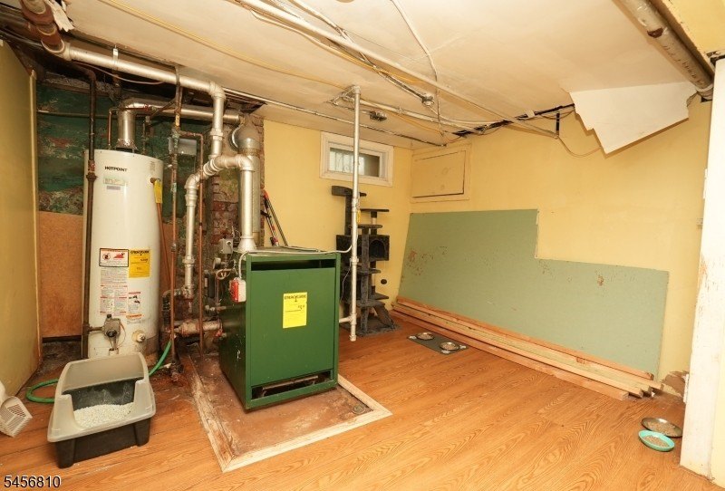 Picture 17