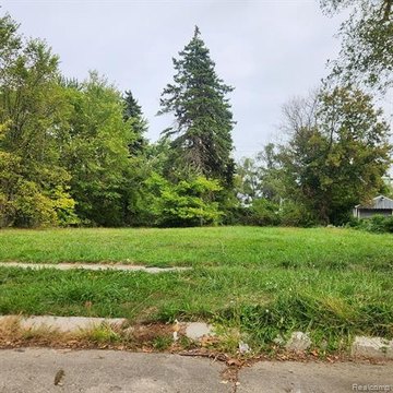Detroit Land Opportunity on Rosemont