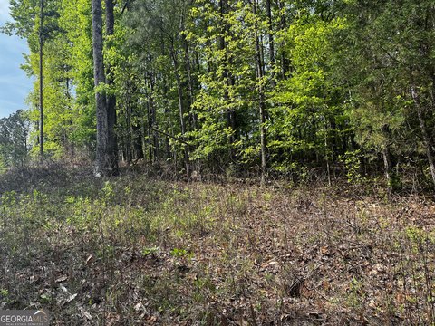Lagrange, GA Building Lot