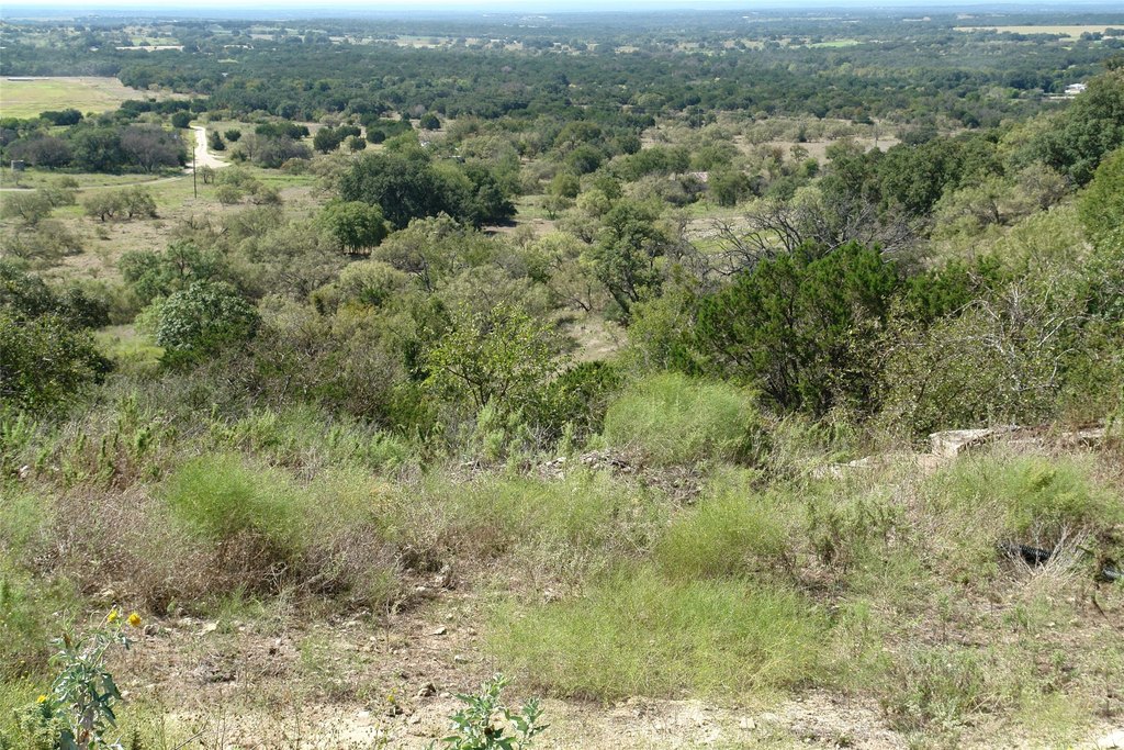 Picture 39