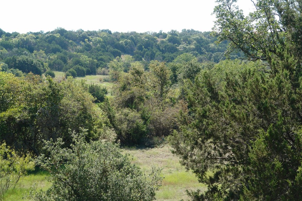 Picture 21