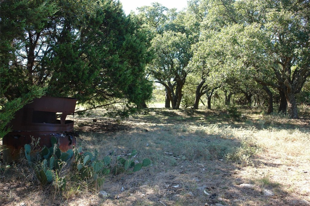 Picture 17