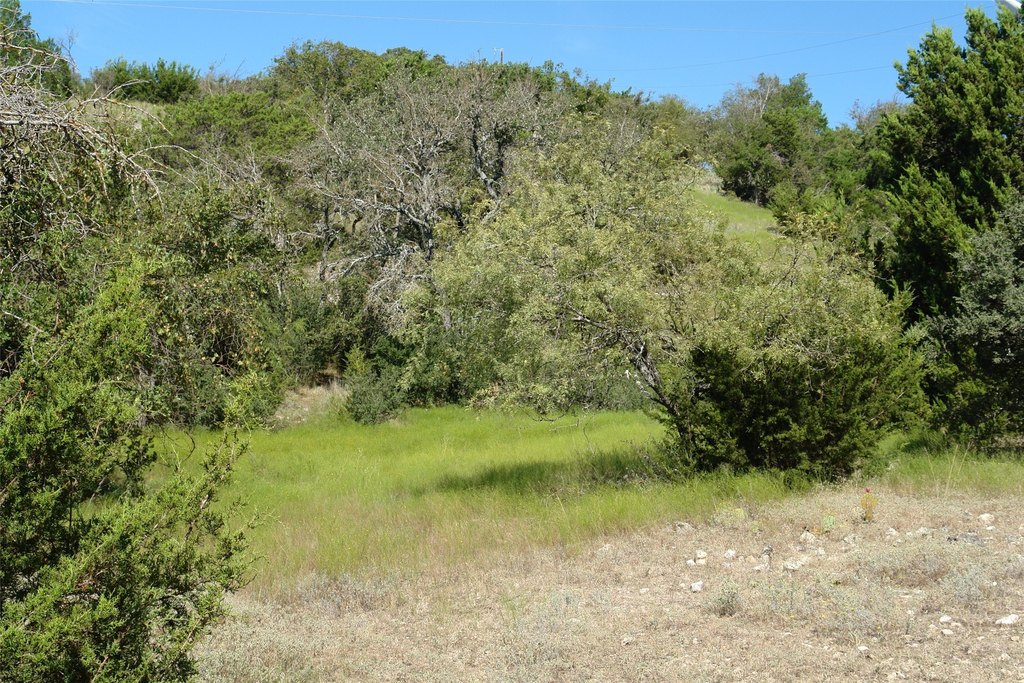 Picture 31