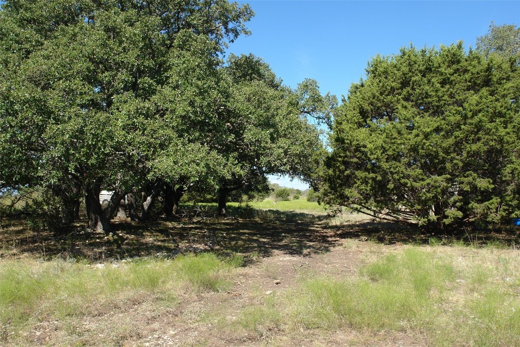 Picture 37