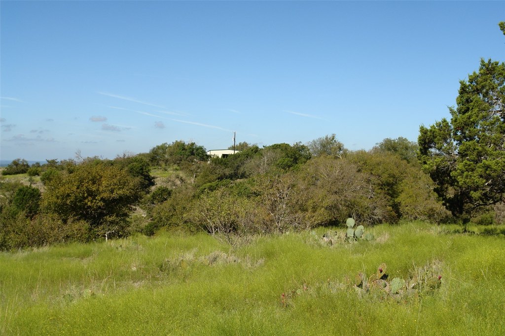Picture 16