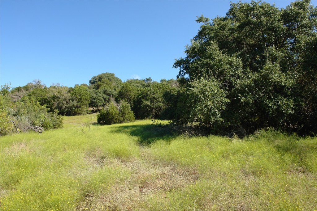 Picture 29