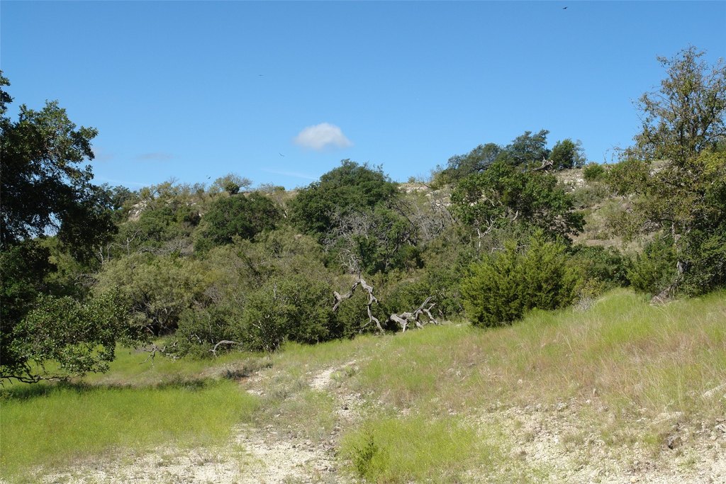 Picture 22