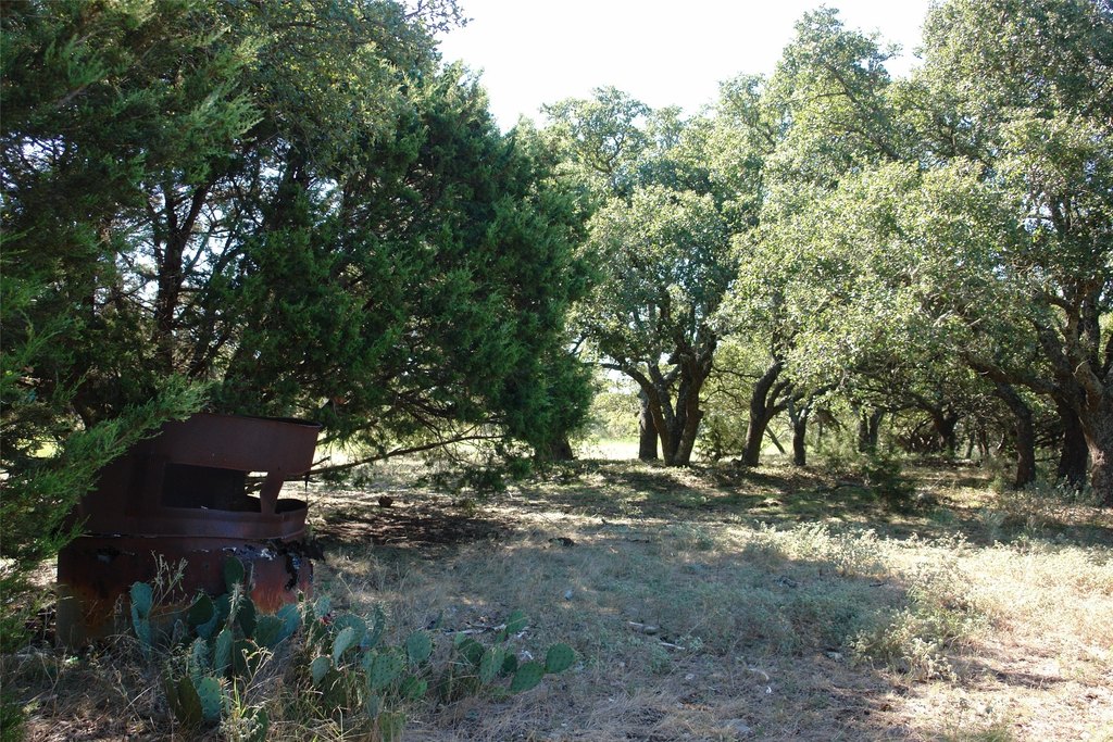 Picture 18