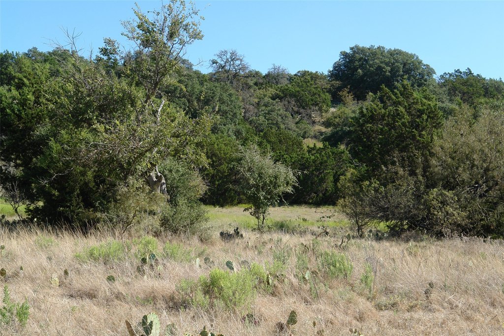 Picture 28