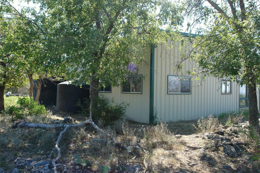 Picture 8