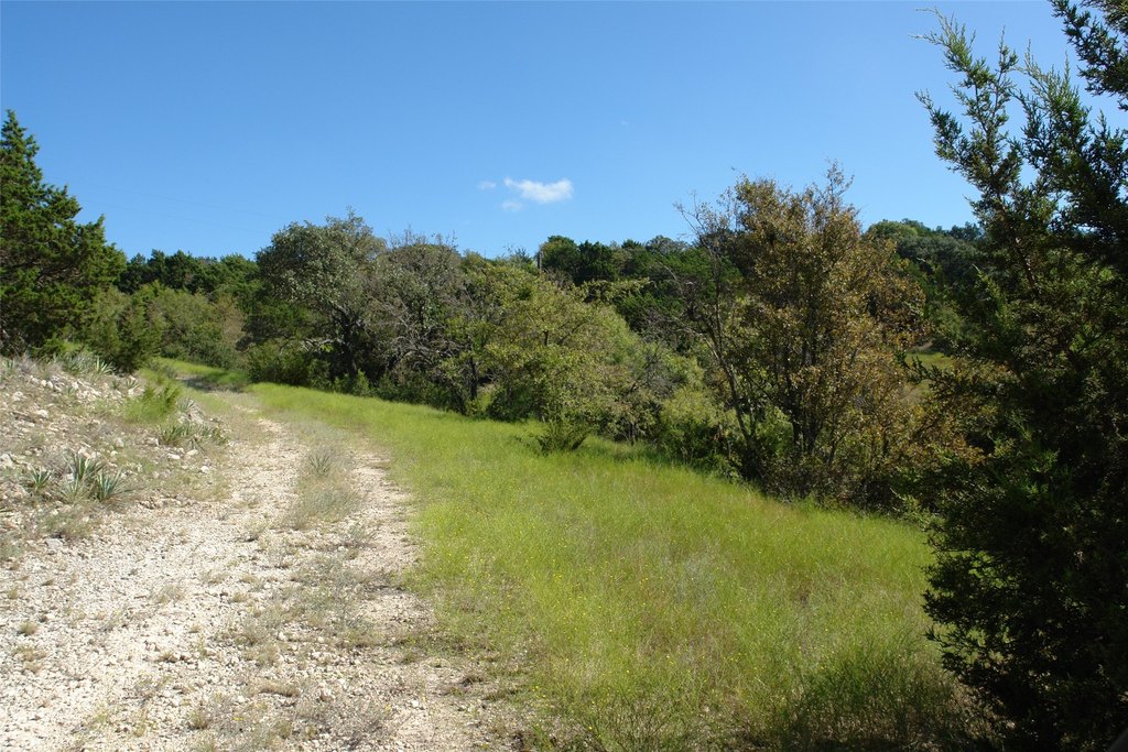 Picture 33