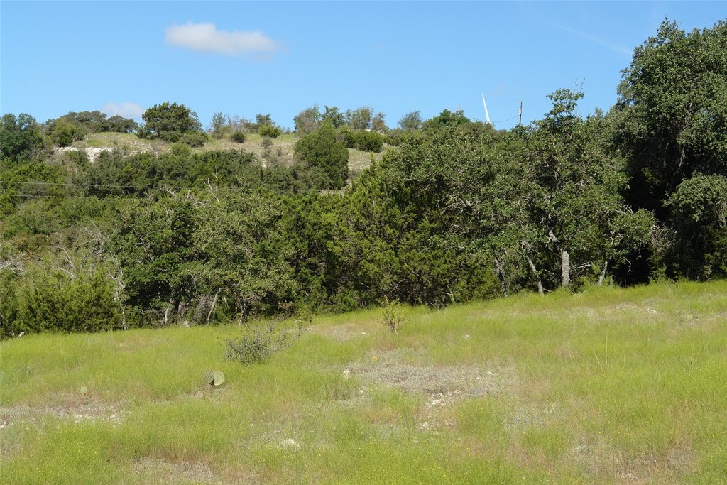 Picture 30