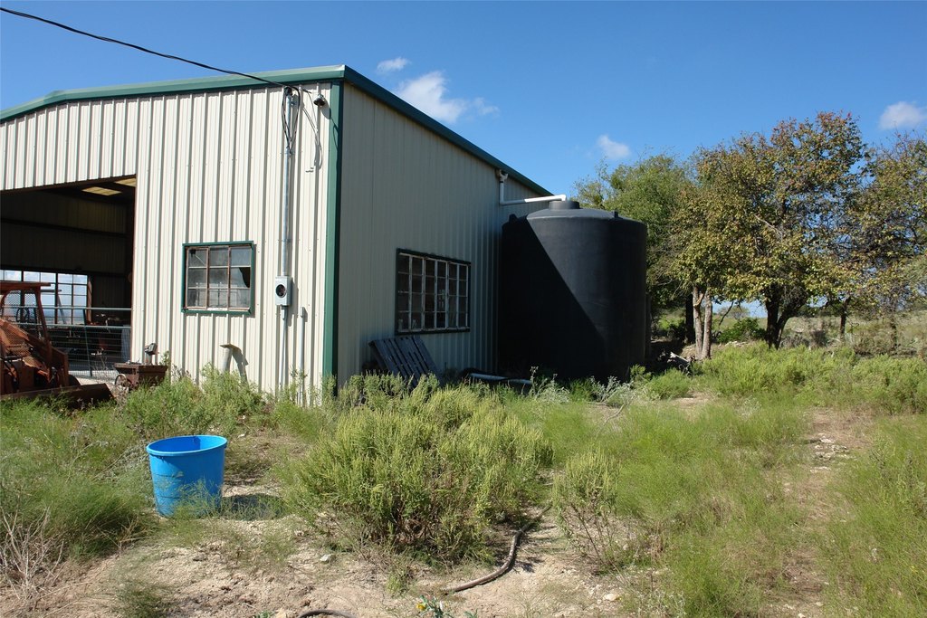 Picture 5