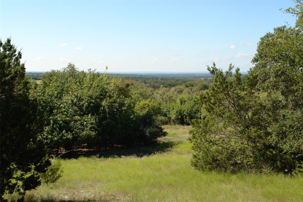 Picture 23