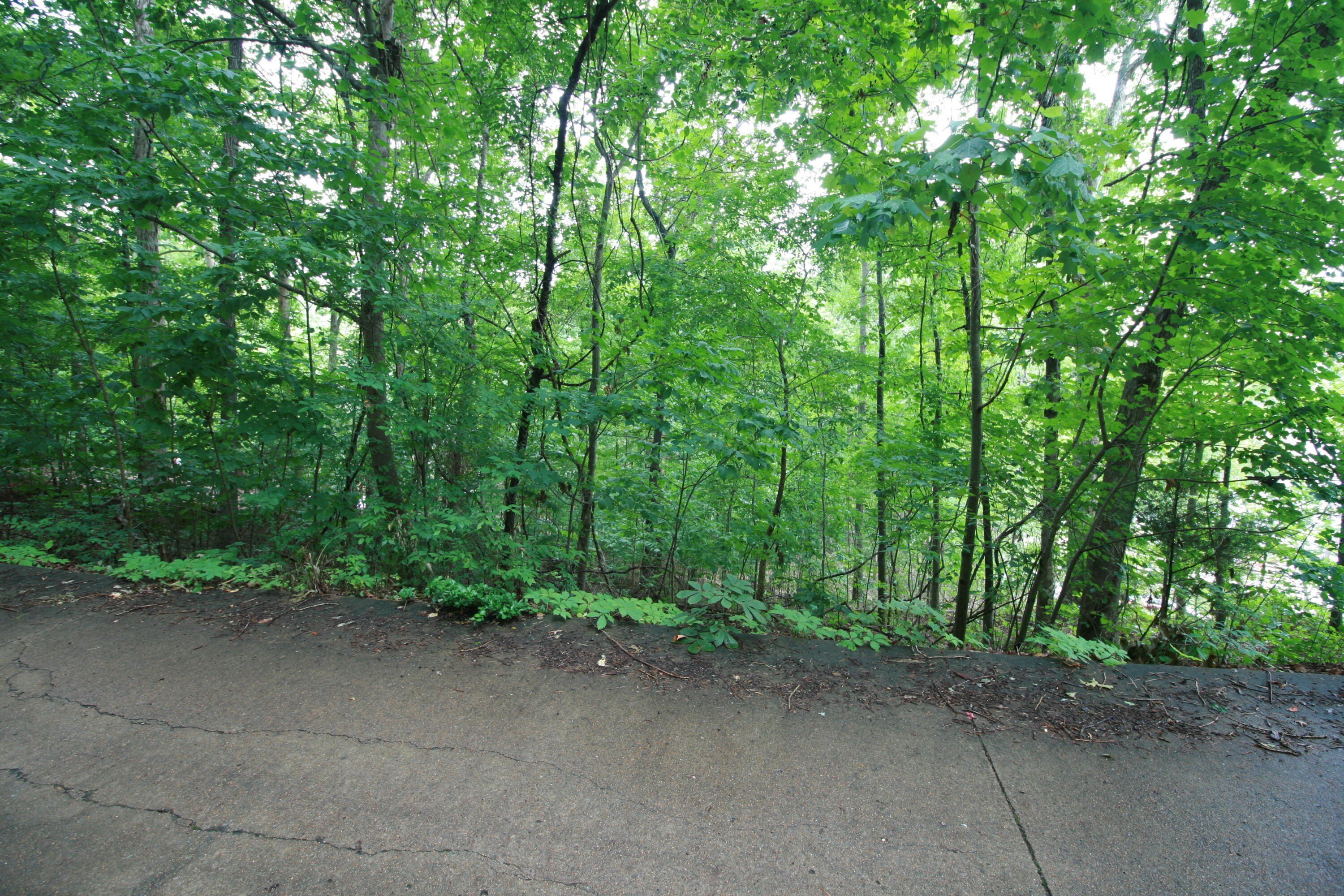 Waterfront Lot in Harrison, TN