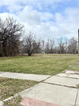 Vacant Lot in Detroit