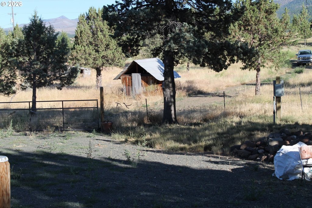 Picture 11