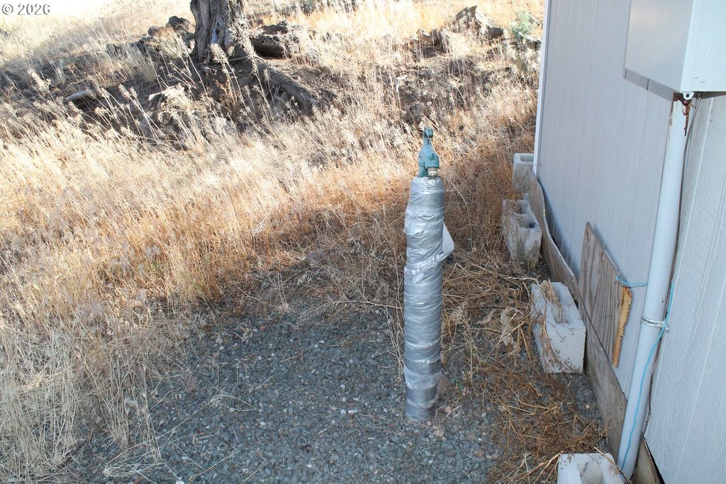 Picture 10