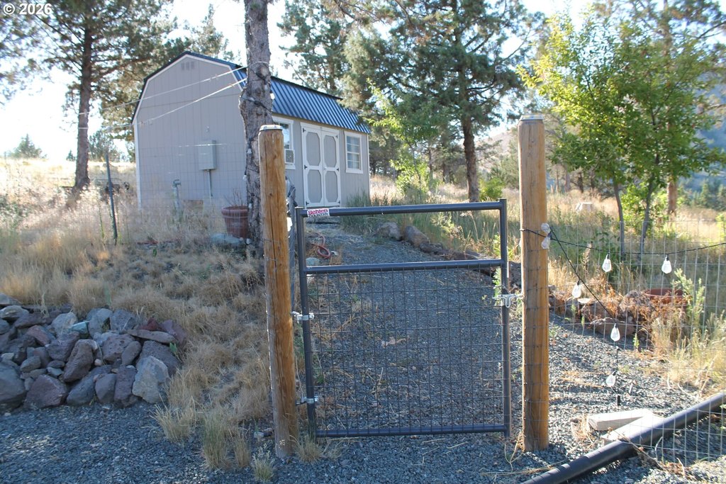 Picture 8