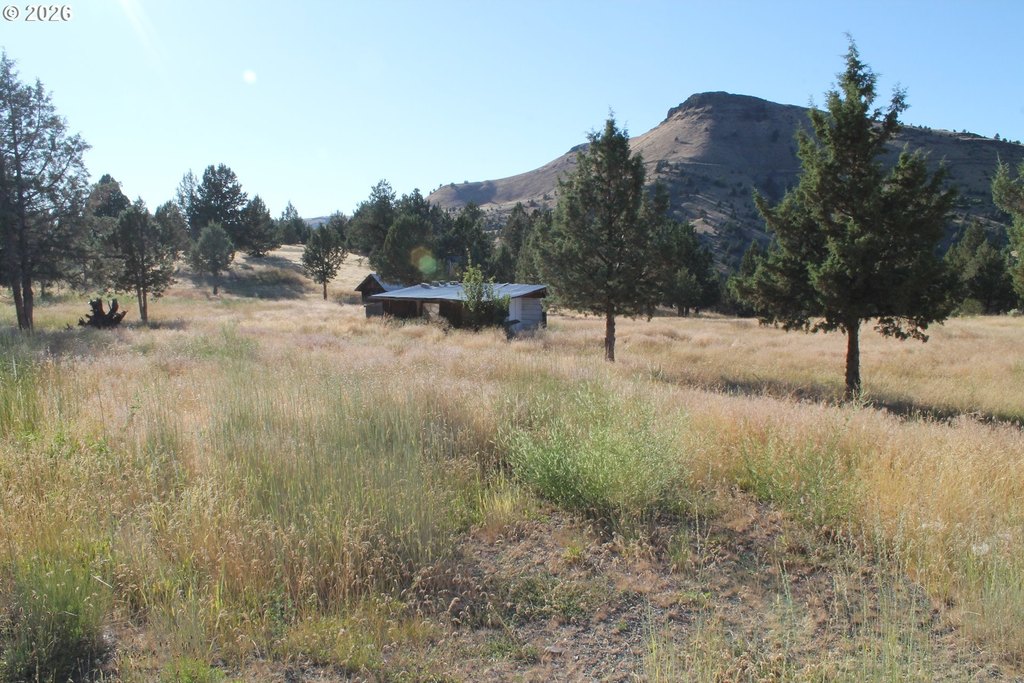 Picture 15