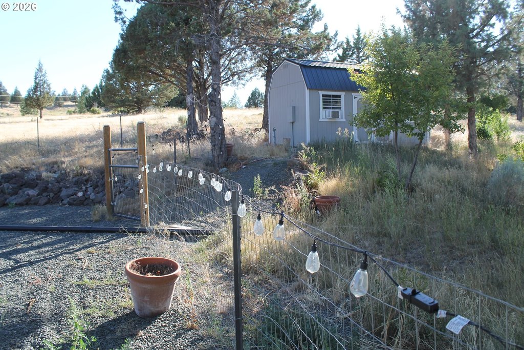 Picture 9