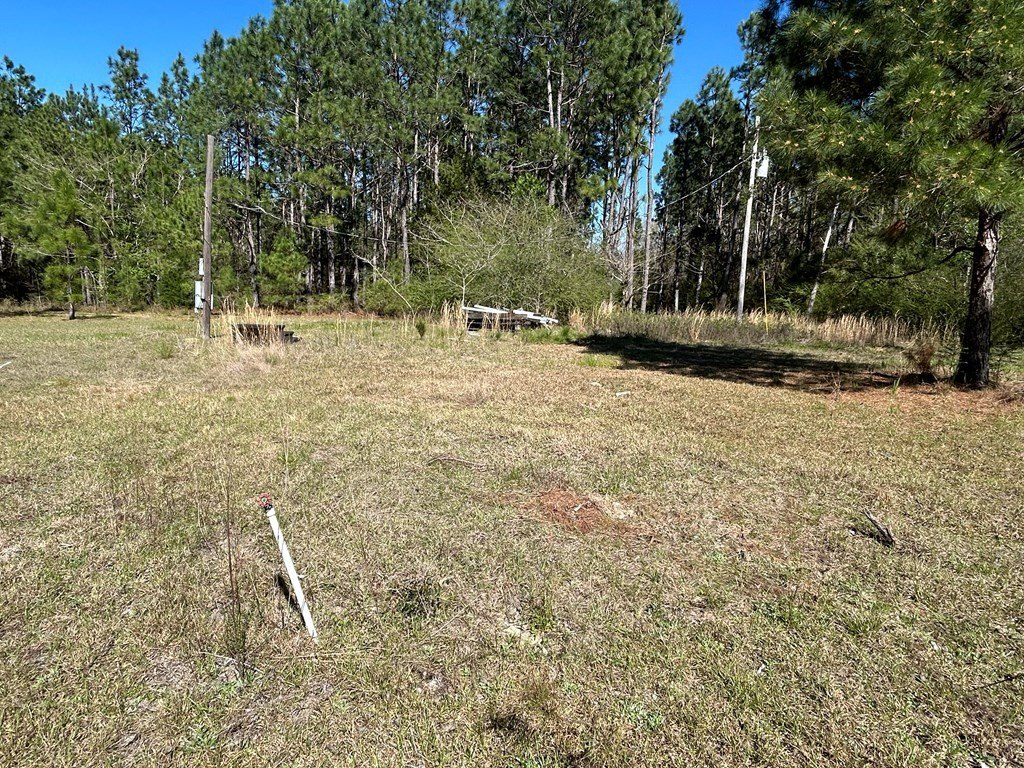 Picture 17