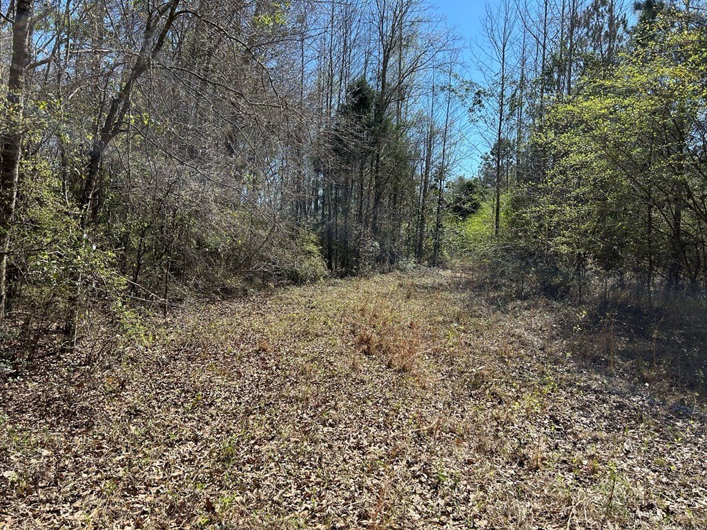 Picture 28